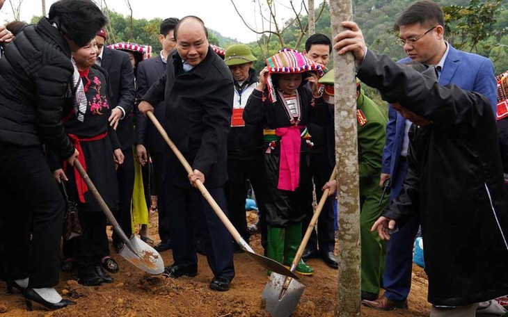 Localidades vietnamitas promueven Festival de Siembra de Árboles 2020 - ảnh 1