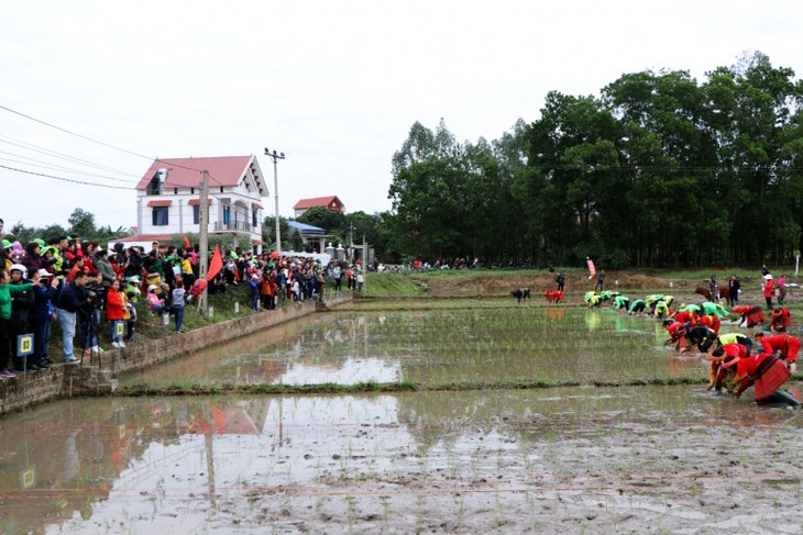 La nueva primavera inicia temporada de siembra en aldeas vietnamitas - ảnh 1