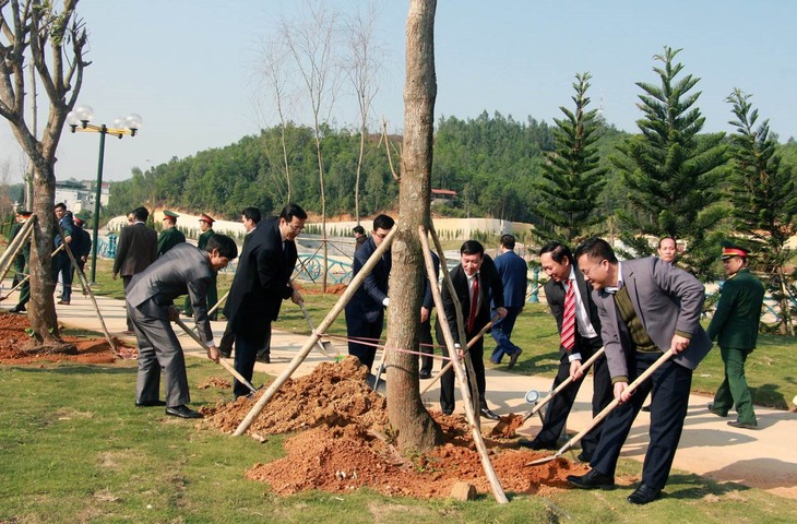 La nueva primavera inicia temporada de siembra en aldeas vietnamitas - ảnh 2