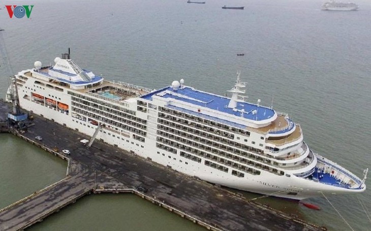 Localidades centrales de Vietnam siguen recibiendo cruceros extranjeros  - ảnh 1