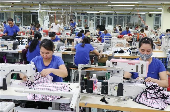 EVFTA facilita la entrada de productos checos en mercado vietnamita - ảnh 1