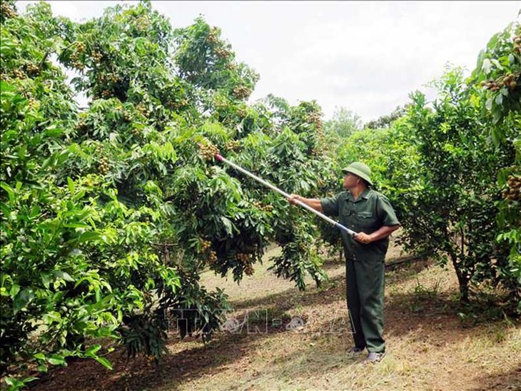 La vida rural de nuevo estilo en la comuna de Chieng Khuong - ảnh 2