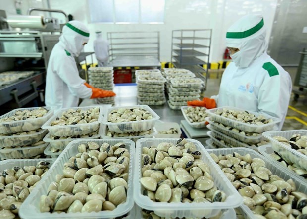 Vietnam logra un alto crecimiento económico en 2022 - ảnh 1