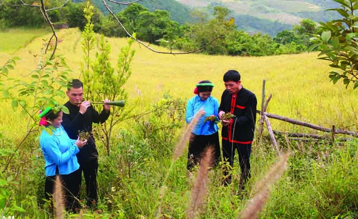 El Festival de Canto Soóng Cọ de la etnia San Chi en la tierra de Binh Lieu - ảnh 2