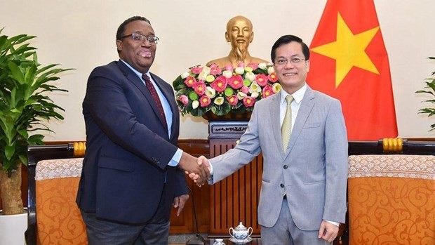 Haití fomenta sus relaciones con Vietnam - ảnh 1