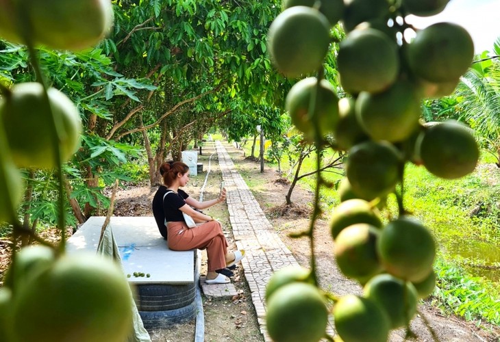 El jardín de lanzón, un producto turístico potencial de Ca Mau - ảnh 2