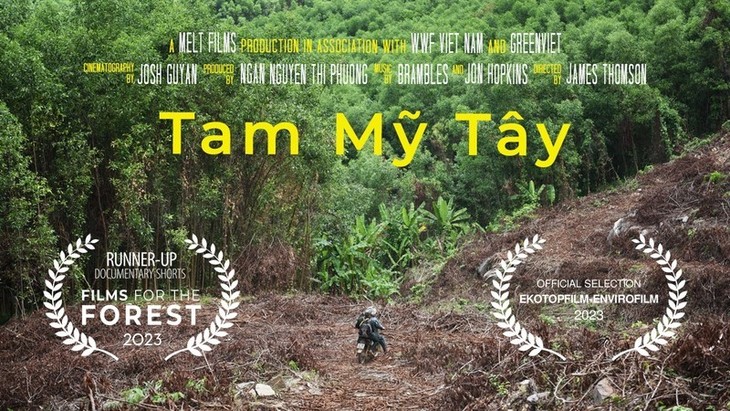 Película vietnamita gana el segundo premio en el festival “Películas para los bosques” 2023 - ảnh 1