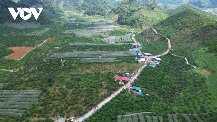 Moc Chau por convertirse en ciudad verde y atractivo destino del país - ảnh 1