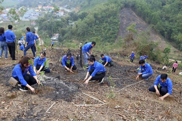 Educación en habilidades verdes para jóvenes: la clave para la transición ecológica en Vietnam - ảnh 1