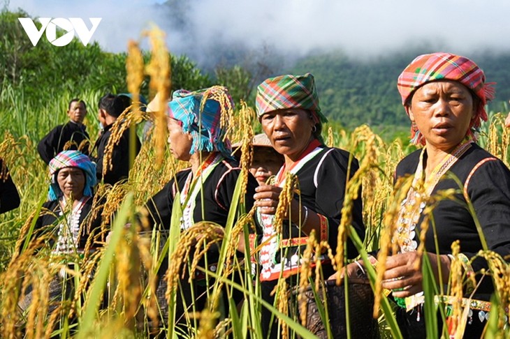 Ma Ma Me, la peculiar fiesta de arroz del pueblo Kho Mu  - ảnh 1