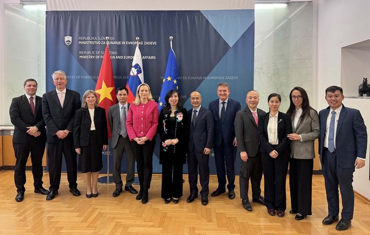 Vietnam y Eslovenia promueven cooperación en diversos sectores - ảnh 2