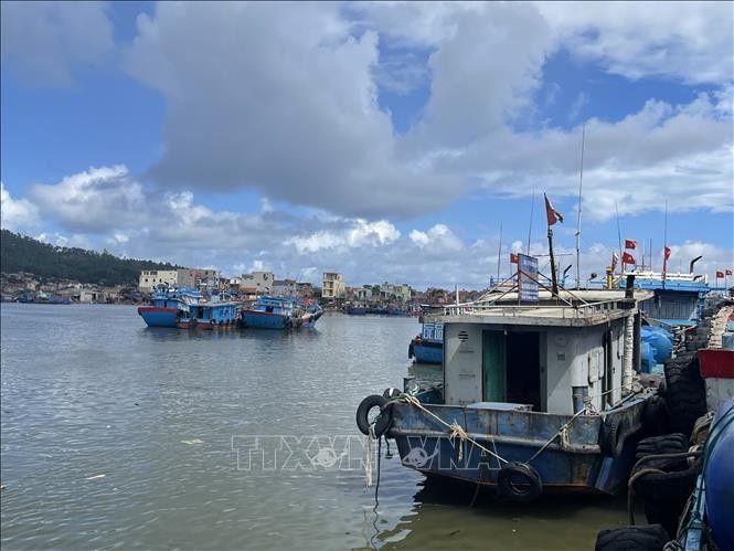 Luchar contra la pesca INDNR, una tarea importante y urgente - ảnh 1