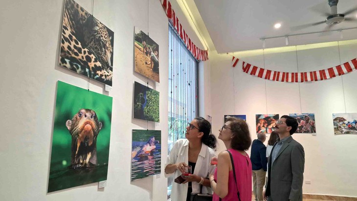 Arranca la exposición “Explora Perú: Una narrativa visual sobre la costa, sierra y selva” - ảnh 2