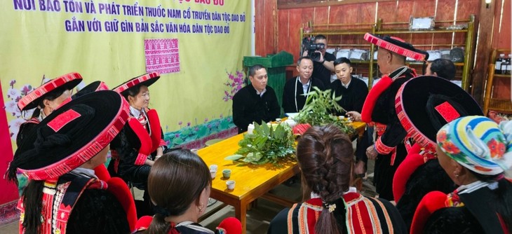 Medicinas herbarias tradicionales de los Dao Rojos - ảnh 2