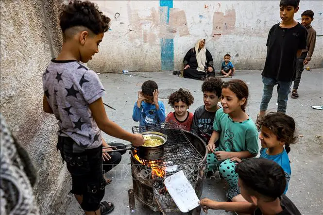 Conflicto Hamás-Israel: ONU preocupada por las graves consecuencias que sufren los niños - ảnh 1