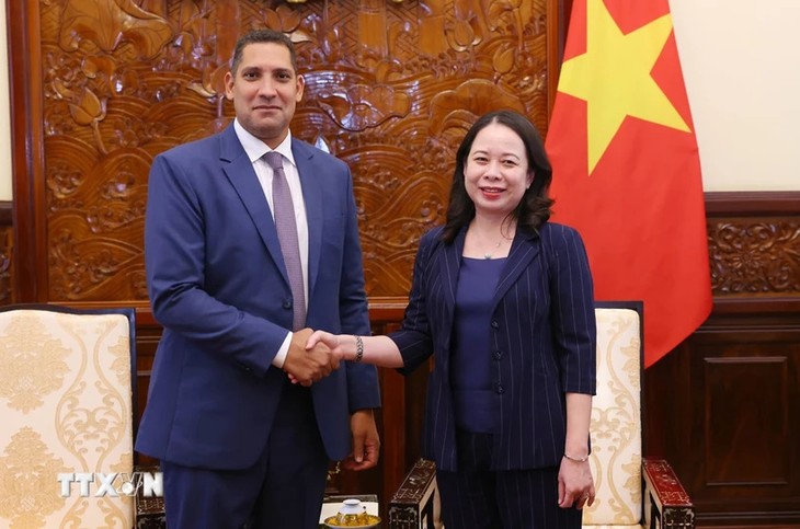 Vietnam y Suecia determinados a desarrollan relaciones bilaterales - ảnh 1