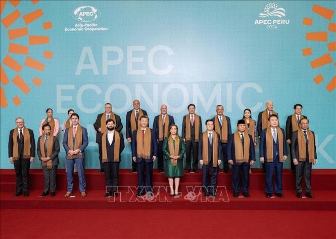 Presidente de Vietnam se reúne con líderes de varios países con motivo del APEC 2024 - ảnh 1