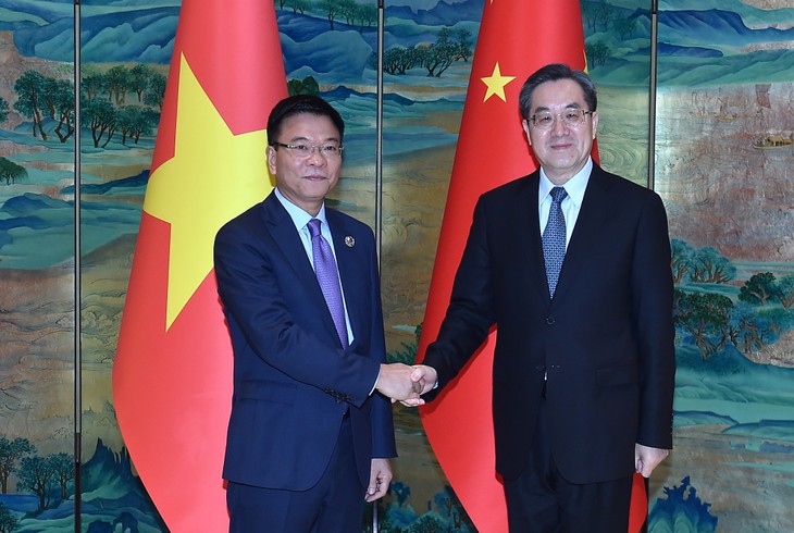 Vicepremier de Vietnam se reúne con su homólogo chino - ảnh 1