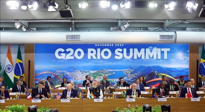 Brasil cumple su desempeño como presidente del G20 - ảnh 1