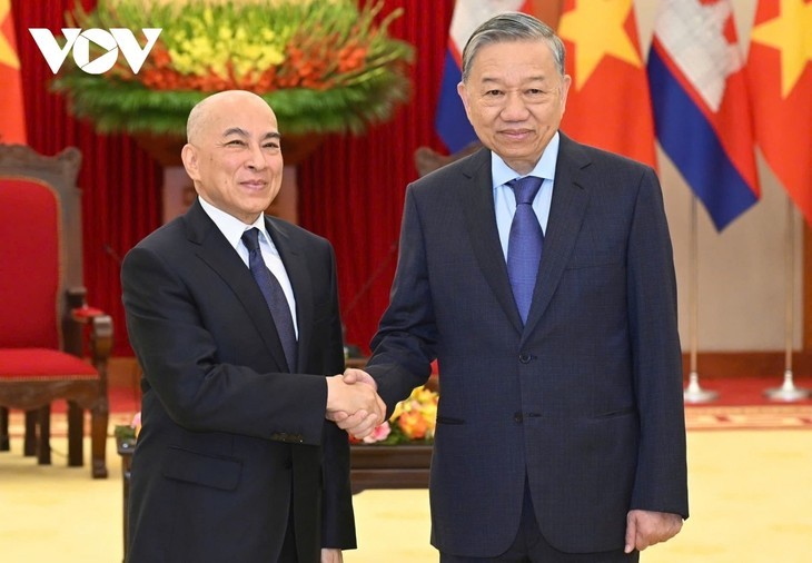 Rey de Camboya se reúne con altos dirigentes de Vietnam - ảnh 1