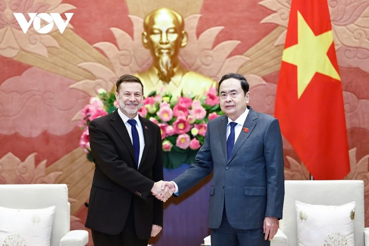 Australia, uno de los principales socios en las relaciones diplomáticas con Vietnam - ảnh 1