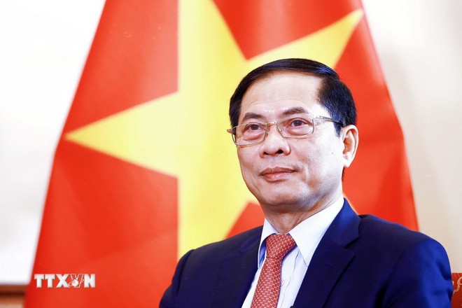 Diplomacia contribuye a abrir perspectivas para desarrollo de Vietnam en nueva era, afirma Canciller - ảnh 1