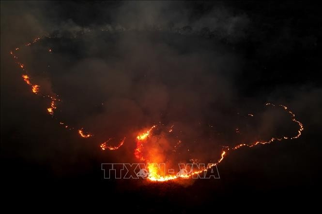 La superficie de bosque quemado en Brasil en 2024 es mayor que todo el territorio de Italia - ảnh 1