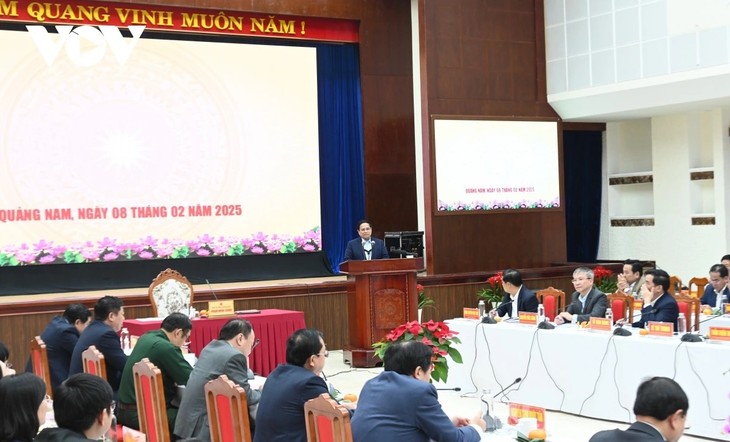 Primer Ministro de Vietnam orienta la estrategia de desarrollo de Quang Nam - ảnh 1