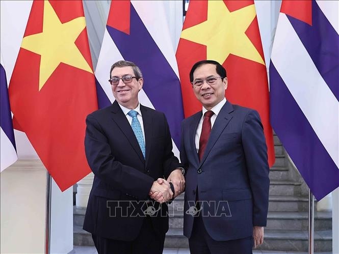 Vietnam y Cuba fortalecen su cooperación bilateral - ảnh 1