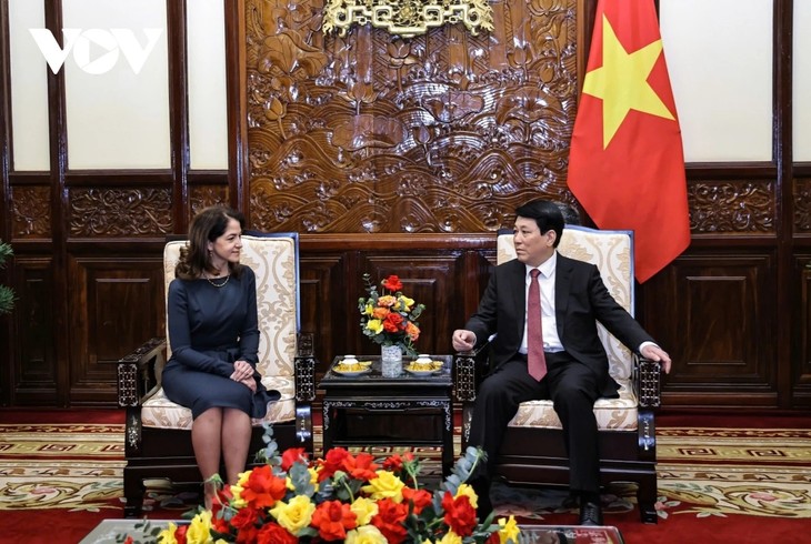 Presidente de Vietnam recibe las Cartas Credenciales de nuevos embajadores - ảnh 2