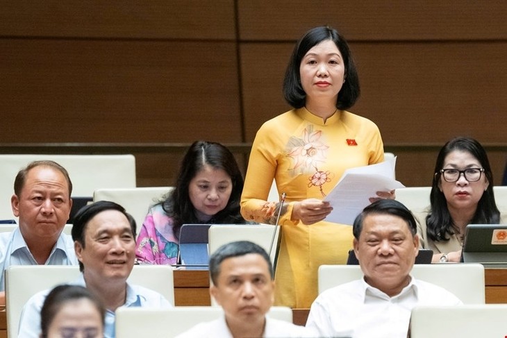 Vietnam lanza mañana la consulta pública sobre la reforma constitucional de 2013 - ảnh 2