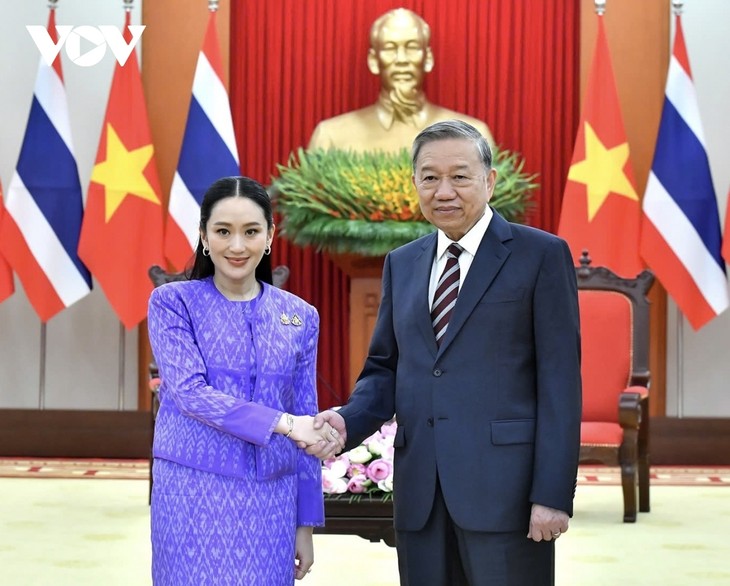 Vietnam y Tailandia inauguran una nueva etapa en sus relaciones bilaterales  - ảnh 1