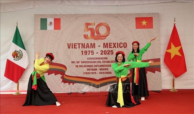 Cincuenta años de relaciones Vietnam - México: voluntad compartida de proyectarlas hacia una nueva etapa - ảnh 3