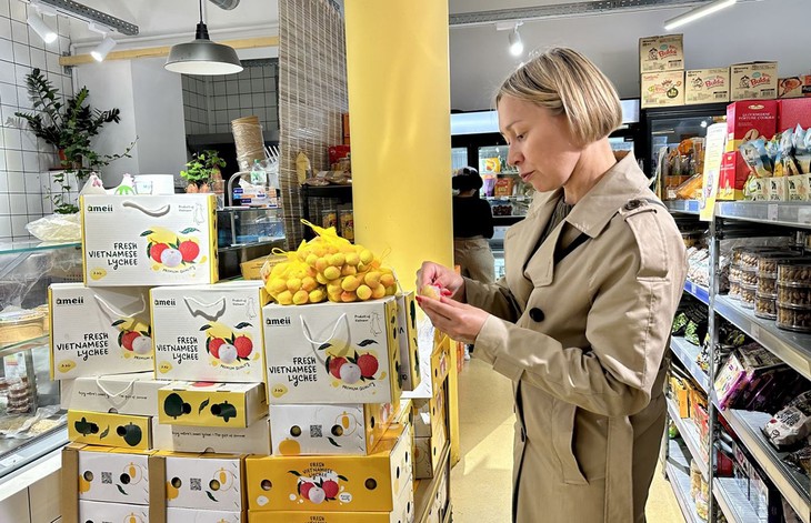 El lichi vietnamita de la cosecha 2025 llega al mercado francés - ảnh 1