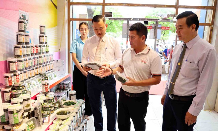 Ninh Thuan presenta sus productos en Ciudad Ho Chi Minh - ảnh 2
