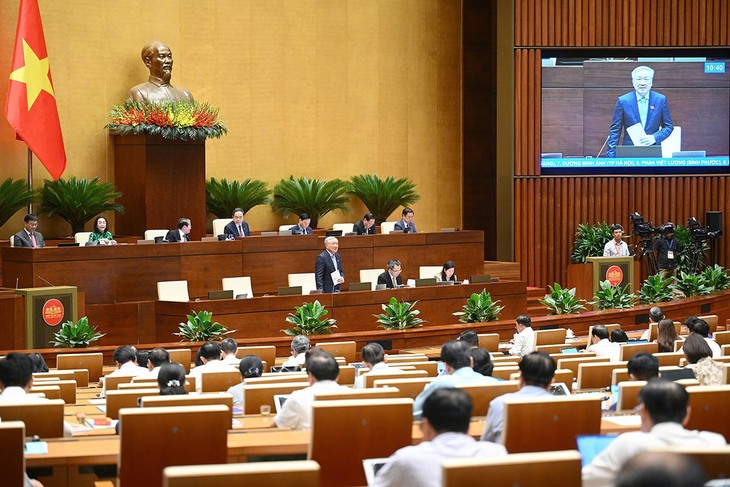 Gobierno de Vietnam se compromete a evitar imposición del arancel de un 46 % - ảnh 2