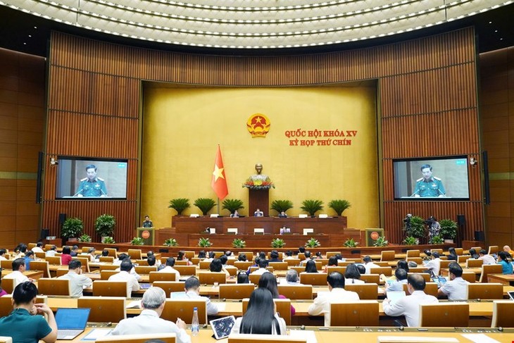 Vietnam afianza su marco legal para contribuir a la paz mundial - ảnh 1