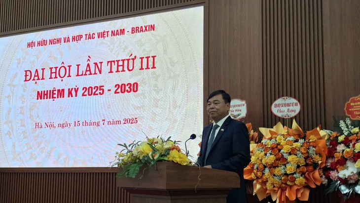 Vietnam y Brasil fortalecen su cooperación integral en el nuevo contexto internacional - ảnh 3