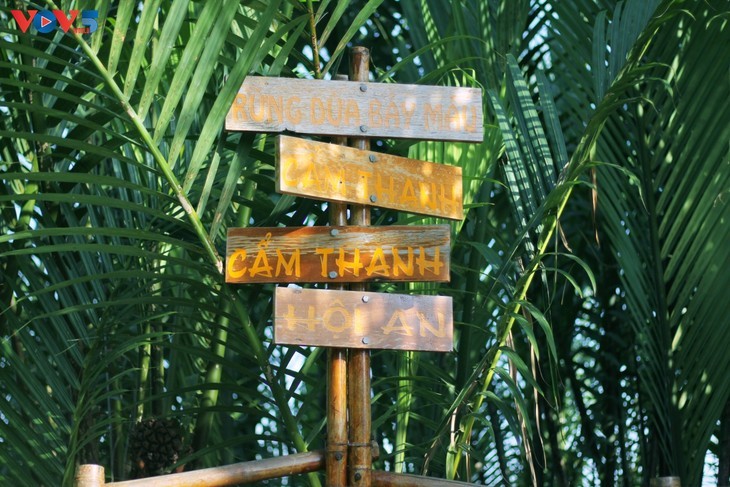 Bosque de cocoteros de Bay Mau: “Un pequeño Mekong” en pleno corazón de Hoi An - ảnh 2