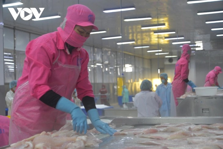 Vietnam pide a Estados Unidos revisar restricciones al comercio pesquero - ảnh 1