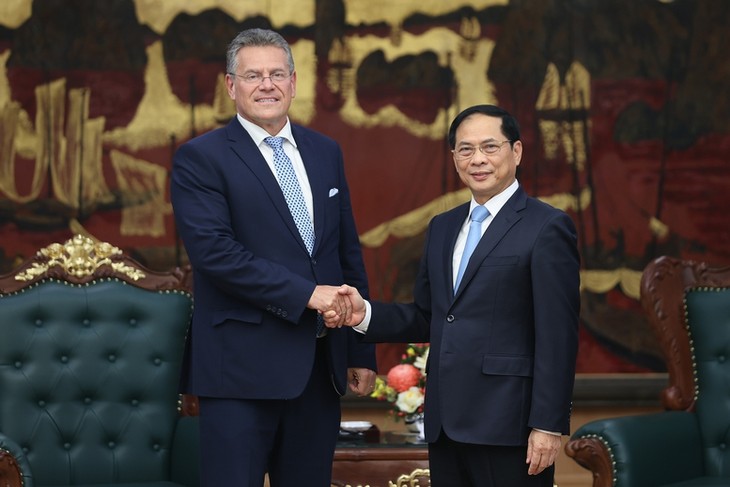 La UE valora el proceso de renovación y desarrollo de Vietnam - ảnh 1