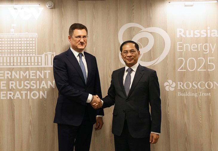 El Gobierno ruso, comprometido a acelerar el cumplimiento de los acuerdos alcanzados con Vietnam - ảnh 1