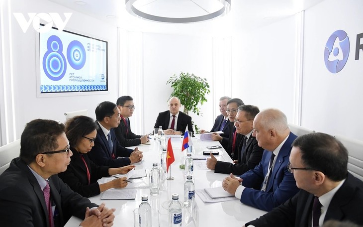 El Gobierno ruso, comprometido a acelerar el cumplimiento de los acuerdos alcanzados con Vietnam - ảnh 4