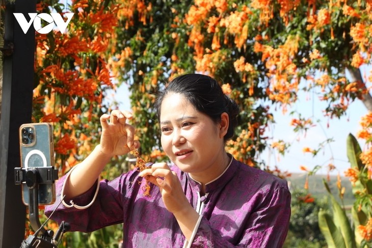 Transformación digital en el sector agrícola de Gia Lai: La palanca de desarrollo económico  - ảnh 1