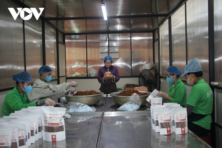 Transformación digital en el sector agrícola de Gia Lai: La palanca de desarrollo económico  - ảnh 2