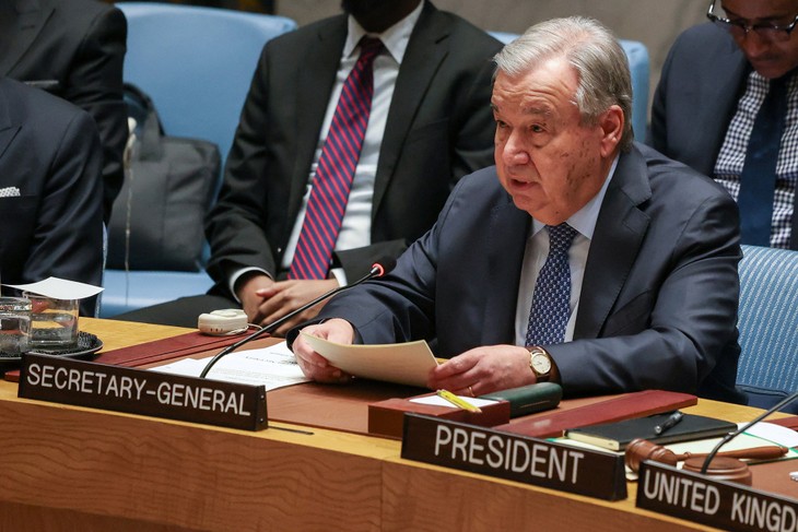 La ONU llama al mundo a invertir en la “arquitectura de la paz” - ảnh 1