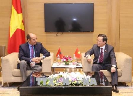 Vietnam y Marruecos fortalecen sus relaciones  - ảnh 1