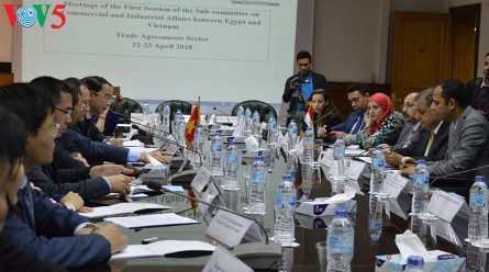 Vietnam y Egipto fortalecen cooperación comercial - ảnh 1