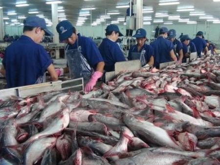 Urgen el despliegue de la Ley de Pesca y la superación de la “tarjeta amarilla”  - ảnh 1