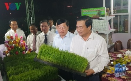 Comienza tercer Festival del Arroz en Vietnam - ảnh 1